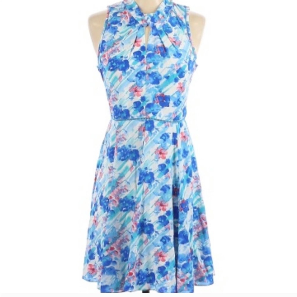 Brixon Ivy Dress for Stitchfix